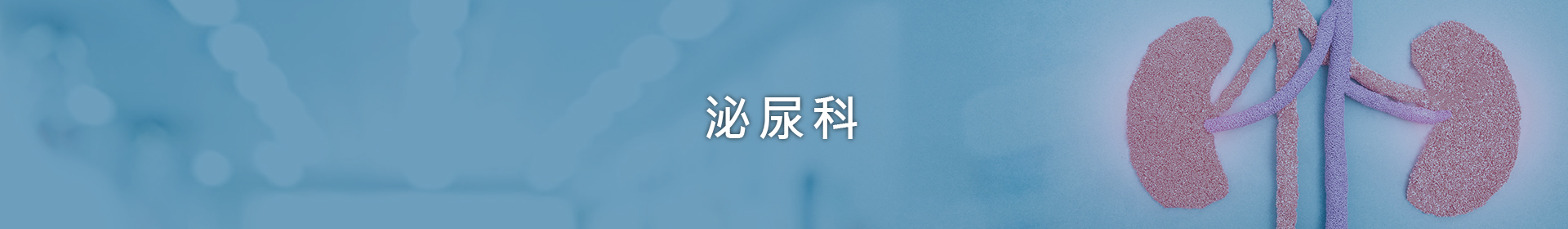 泌尿專科